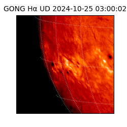 gong - 2024-10-25T03:00:02