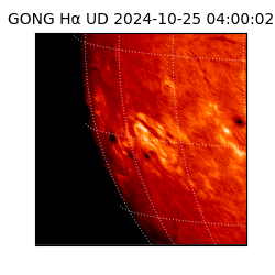 gong - 2024-10-25T04:00:02