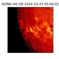 gong - 2024-10-25T05:00:02