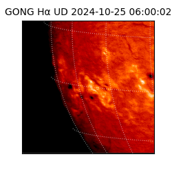 gong - 2024-10-25T06:00:02