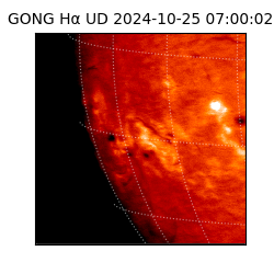 gong - 2024-10-25T07:00:02