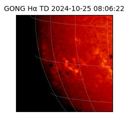 gong - 2024-10-25T08:06:22