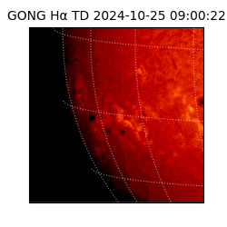 gong - 2024-10-25T09:00:22