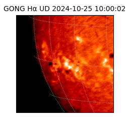 gong - 2024-10-25T10:00:02