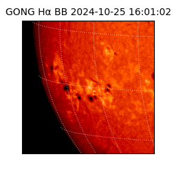 gong - 2024-10-25T16:01:02