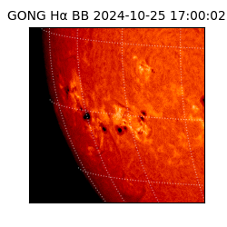 gong - 2024-10-25T17:00:02