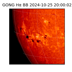 gong - 2024-10-25T20:00:02