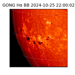 gong - 2024-10-25T22:00:02