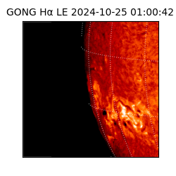 gong - 2024-10-25T01:00:42