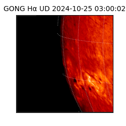 gong - 2024-10-25T03:00:02