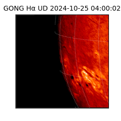 gong - 2024-10-25T04:00:02