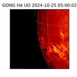 gong - 2024-10-25T05:00:02