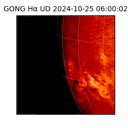 gong - 2024-10-25T06:00:02