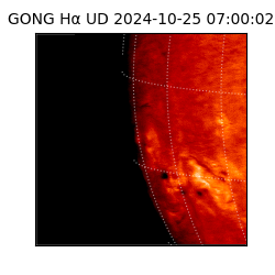 gong - 2024-10-25T07:00:02