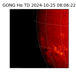 gong - 2024-10-25T08:06:22