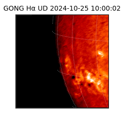 gong - 2024-10-25T10:00:02