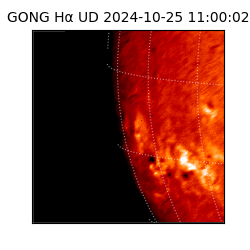 gong - 2024-10-25T11:00:02