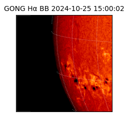 gong - 2024-10-25T15:00:02
