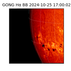 gong - 2024-10-25T17:00:02