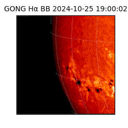 gong - 2024-10-25T19:00:02