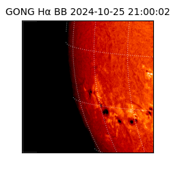 gong - 2024-10-25T21:00:02