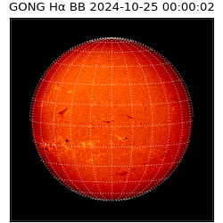 gong - 2024-10-25T00:00:02