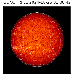 gong - 2024-10-25T01:00:42