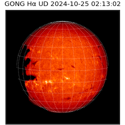 gong - 2024-10-25T02:13:02