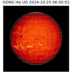 gong - 2024-10-25T06:00:02