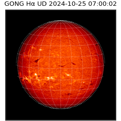 gong - 2024-10-25T07:00:02