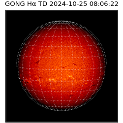 gong - 2024-10-25T08:06:22
