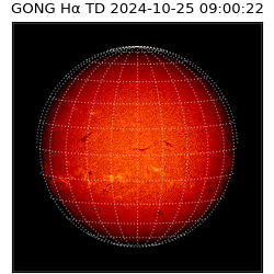 gong - 2024-10-25T09:00:22