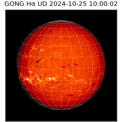 gong - 2024-10-25T10:00:02