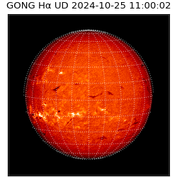 gong - 2024-10-25T11:00:02