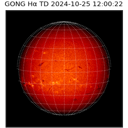 gong - 2024-10-25T12:00:22