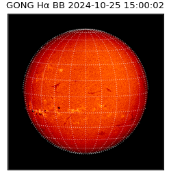 gong - 2024-10-25T15:00:02