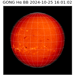 gong - 2024-10-25T16:01:02