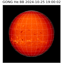 gong - 2024-10-25T19:00:02