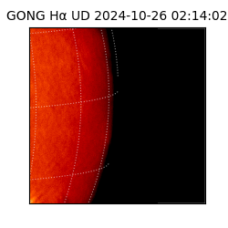 gong - 2024-10-26T02:14:02