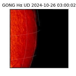 gong - 2024-10-26T03:00:02