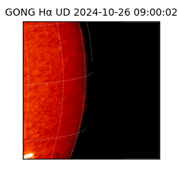 gong - 2024-10-26T09:00:02