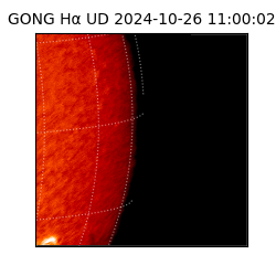 gong - 2024-10-26T11:00:02