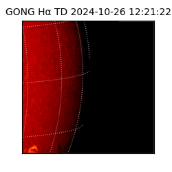 gong - 2024-10-26T12:21:22