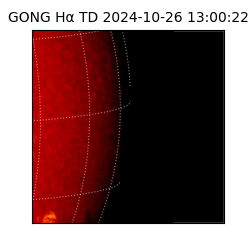 gong - 2024-10-26T13:00:22