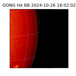 gong - 2024-10-26T16:02:02