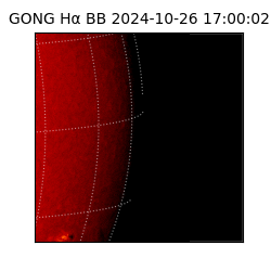 gong - 2024-10-26T17:00:02