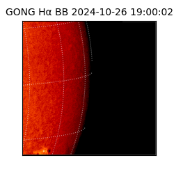 gong - 2024-10-26T19:00:02