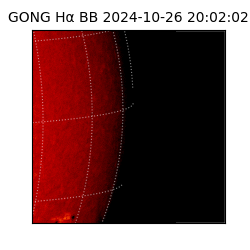 gong - 2024-10-26T20:02:02