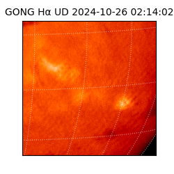 gong - 2024-10-26T02:14:02