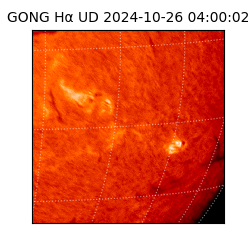 gong - 2024-10-26T04:00:02